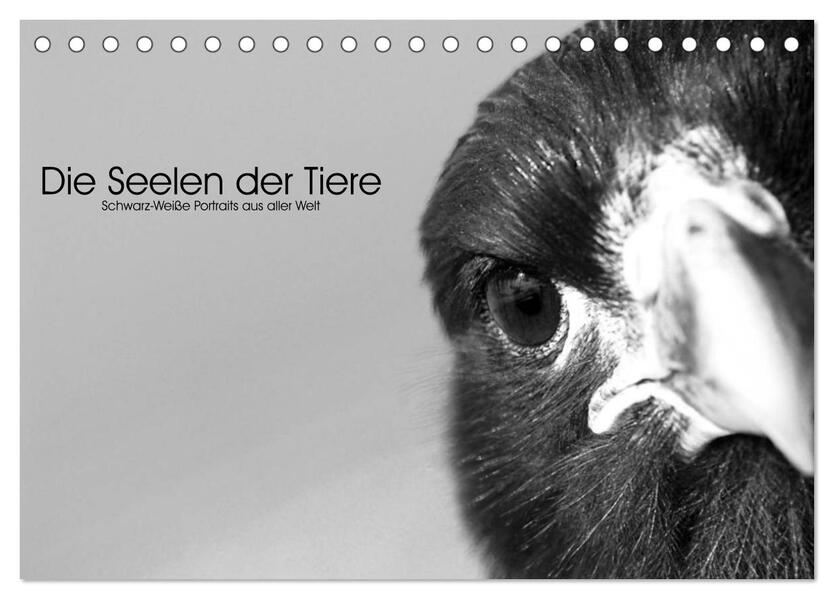 Die Seelen der wilden Tiere (Tischkalender 2026 DIN A5 quer) CALVENDO Monatskalender