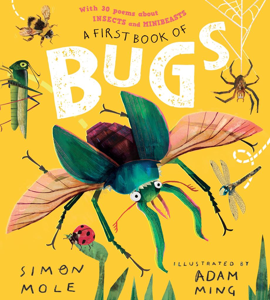 A First Book of Bugs