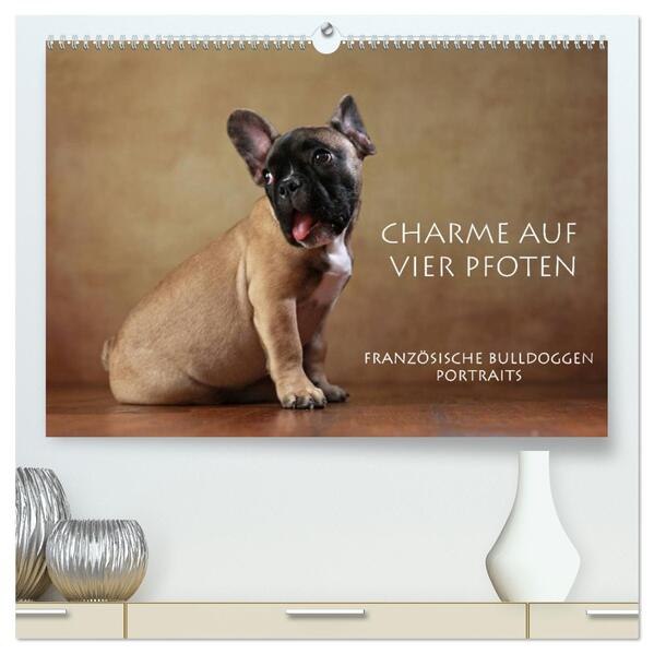 Charme auf vier Pfoten - Französische Bulldoggen Portraits (hochwertiger Premium Wandkalender 2026 DIN A2 quer) Kunstdruck in Hochglanz