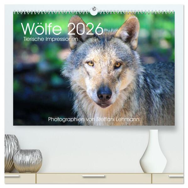 Wölfe 2026. Tierische Impressionen (hochwertiger Premium Wandkalender 2026 DIN A2 quer) Kunstdruck in Hochglanz