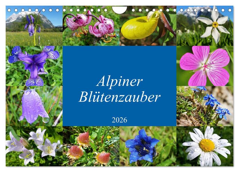 Alpiner Blütenzauber (Wandkalender 2026 DIN A4 quer) CALVENDO Monatskalender