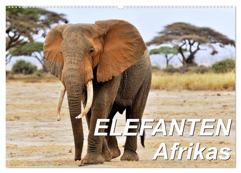 Elefanten Afrikas (Wandkalender 2026 DIN A2 quer) CALVENDO Monatskalender