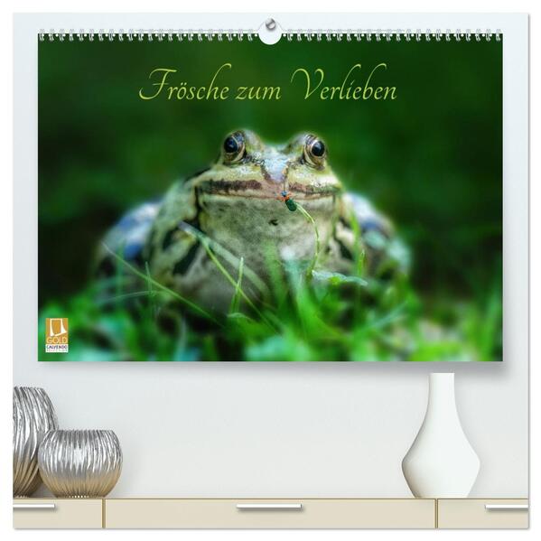 Frösche zum Verlieben (hochwertiger Premium Wandkalender 2026 DIN A2 quer) Kunstdruck in Hochglanz