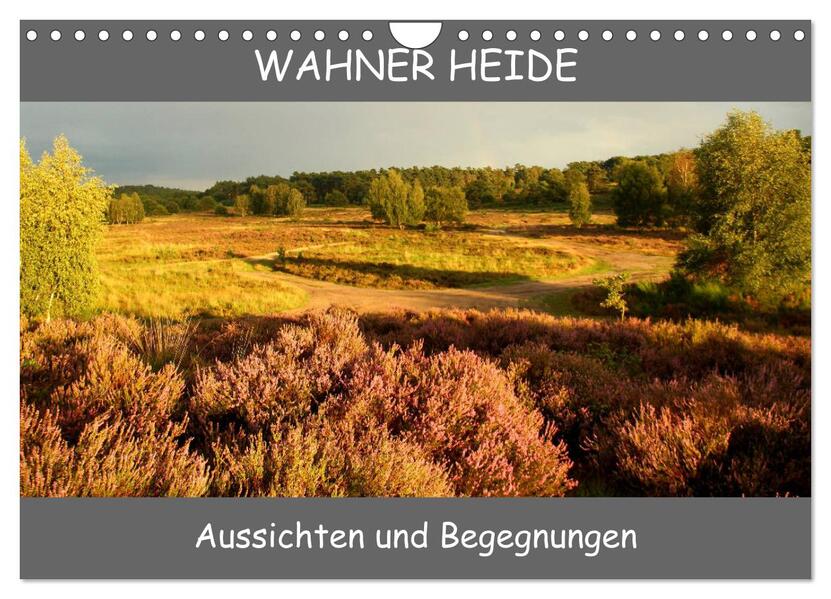 Wahner Heide - Aussichten und Begegnungen (Wandkalender 2026 DIN A4 quer) CALVENDO Monatskalender