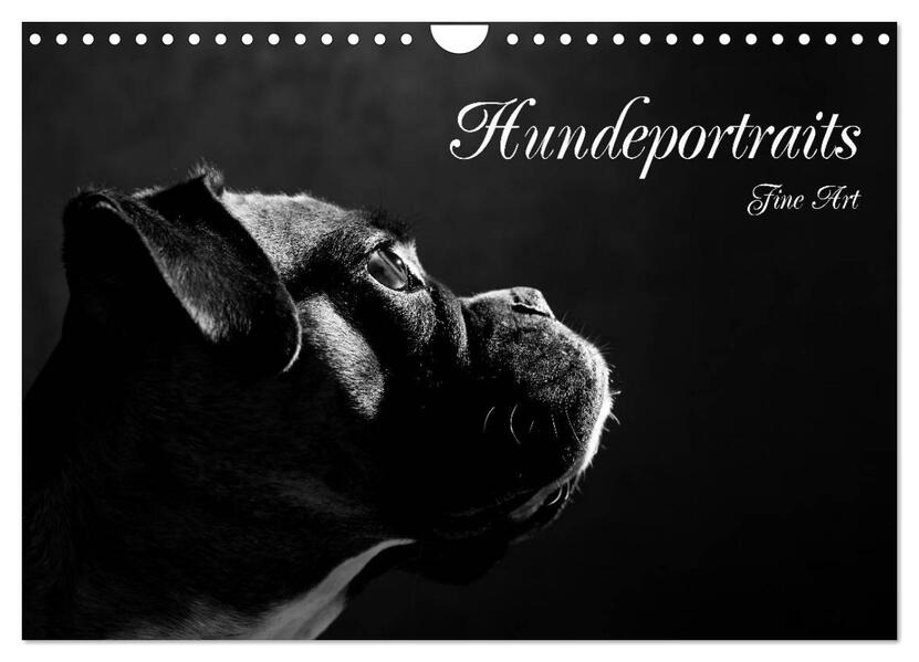 Hundeportraits Fine Art (Wandkalender 2026 DIN A4 quer) CALVENDO Monatskalender