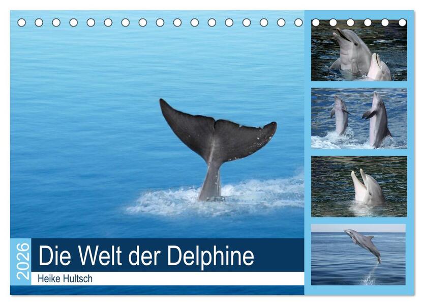 Die Welt der Delphine (Tischkalender 2026 DIN A5 quer) CALVENDO Monatskalender