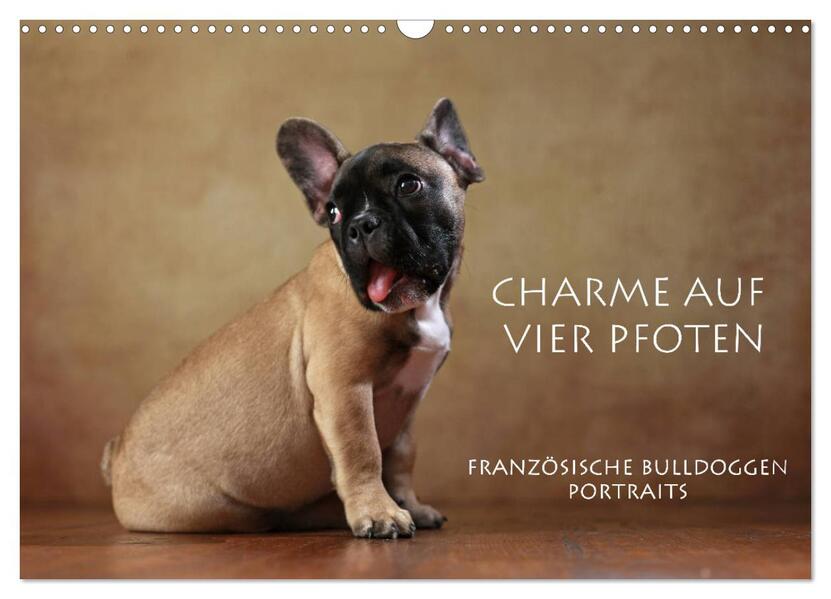 Charme auf vier Pfoten - Französische Bulldoggen Portraits (Wandkalender 2026 DIN A3 quer) CALVENDO Monatskalender