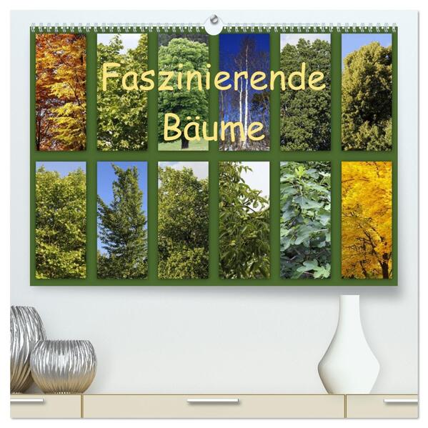 Faszinierende Bäume (hochwertiger Premium Wandkalender 2026 DIN A2 quer) Kunstdruck in Hochglanz