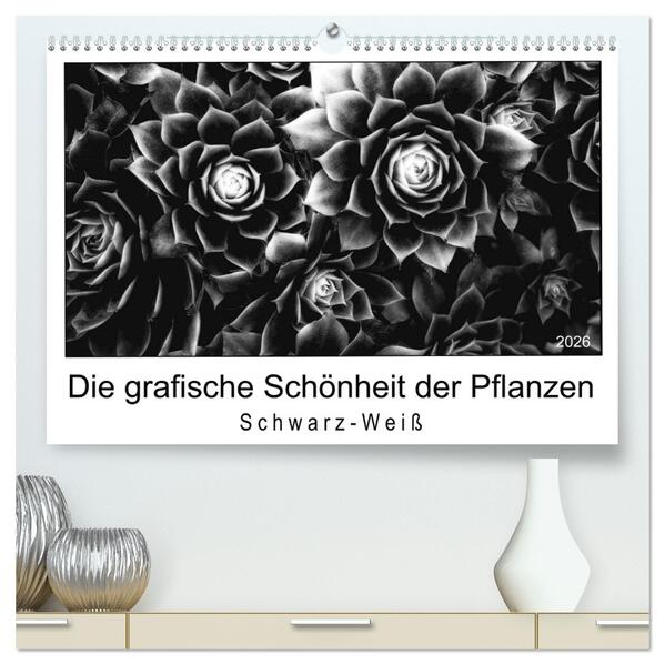 Die grafische Schönheit der Pflanzen - Schwarz-Weiß (hochwertiger Premium Wandkalender 2026 DIN A2 quer) Kunstdruck in Hochglanz