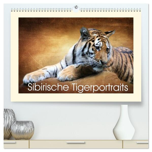 Sibirische Tigerportraits (hochwertiger Premium Wandkalender 2026 DIN A2 quer) Kunstdruck in Hochglanz