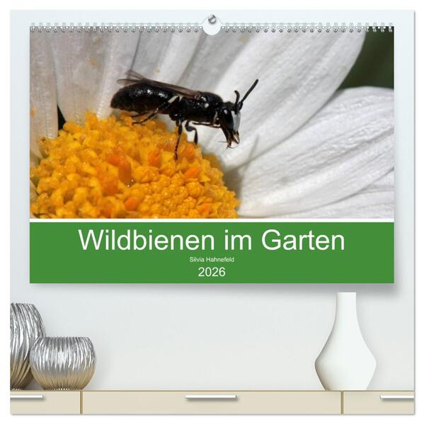 Wildbienen im Garten (hochwertiger Premium Wandkalender 2026 DIN A2 quer) Kunstdruck in Hochglanz