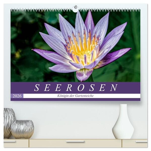 Seerosen - Königin der Gartenteiche (hochwertiger Premium Wandkalender 2026 DIN A2 quer) Kunstdruck in Hochglanz