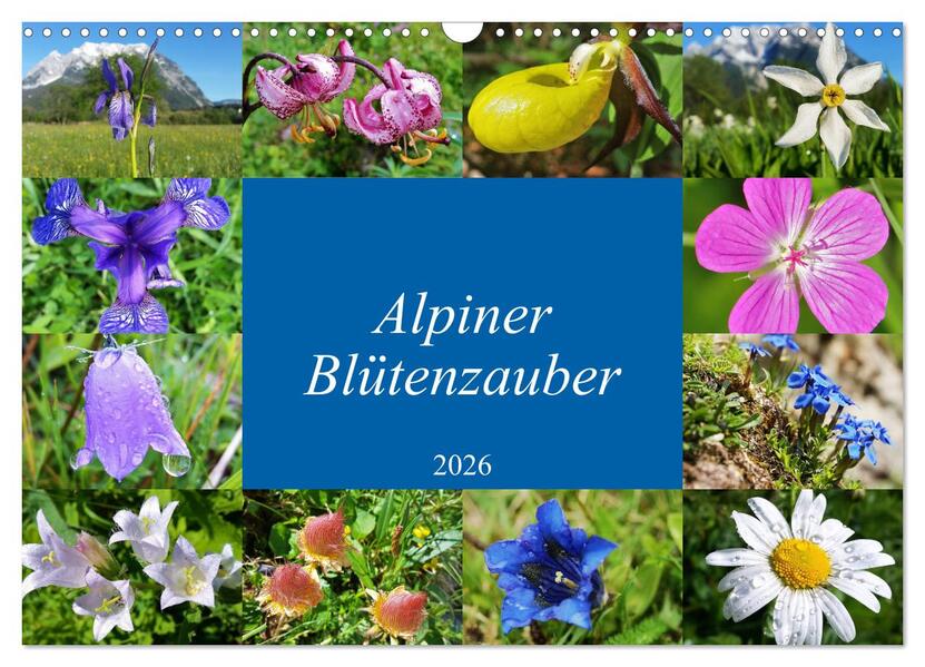 Alpiner Blütenzauber (Wandkalender 2026 DIN A3 quer) CALVENDO Monatskalender