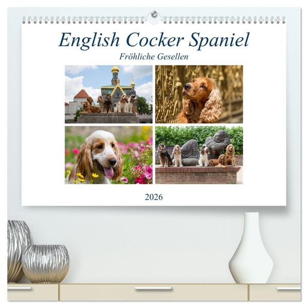 English Cocker Spaniel - Fröhliche Gesellen (hochwertiger Premium Wandkalender 2026 DIN A2 quer) Kunstdruck in Hochglanz