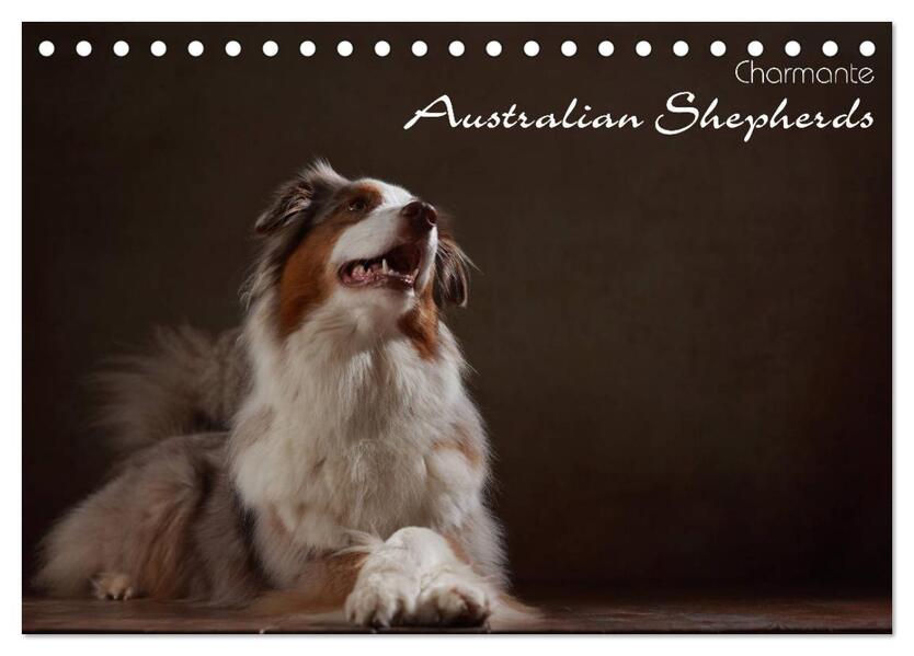 Charmante Australian Shepherds (Tischkalender 2026 DIN A5 quer) CALVENDO Monatskalender