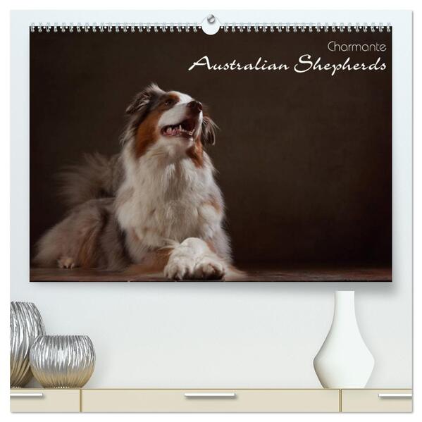 Charmante Australian Shepherds (hochwertiger Premium Wandkalender 2026 DIN A2 quer) Kunstdruck in Hochglanz