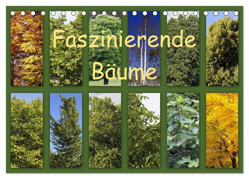 Faszinierende Bäume (Tischkalender 2026 DIN A5 quer) CALVENDO Monatskalender