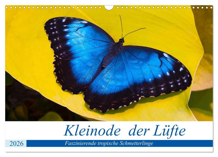 Kleinode der Lüfte - Faszinierende tropische Schmetterlinge (Wandkalender 2026 DIN A3 quer) CALVENDO Monatskalender