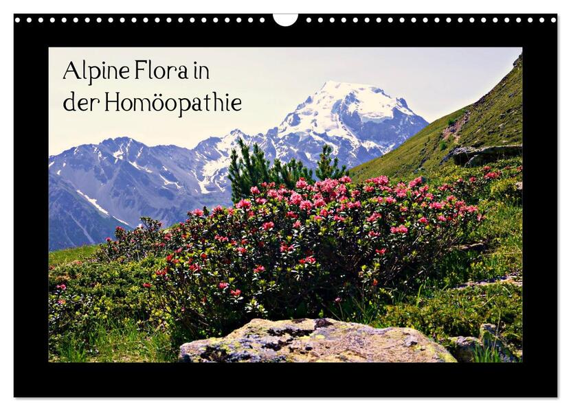 Alpine Flora in der Homöopathie (Wandkalender 2026 DIN A3 quer) CALVENDO Monatskalender