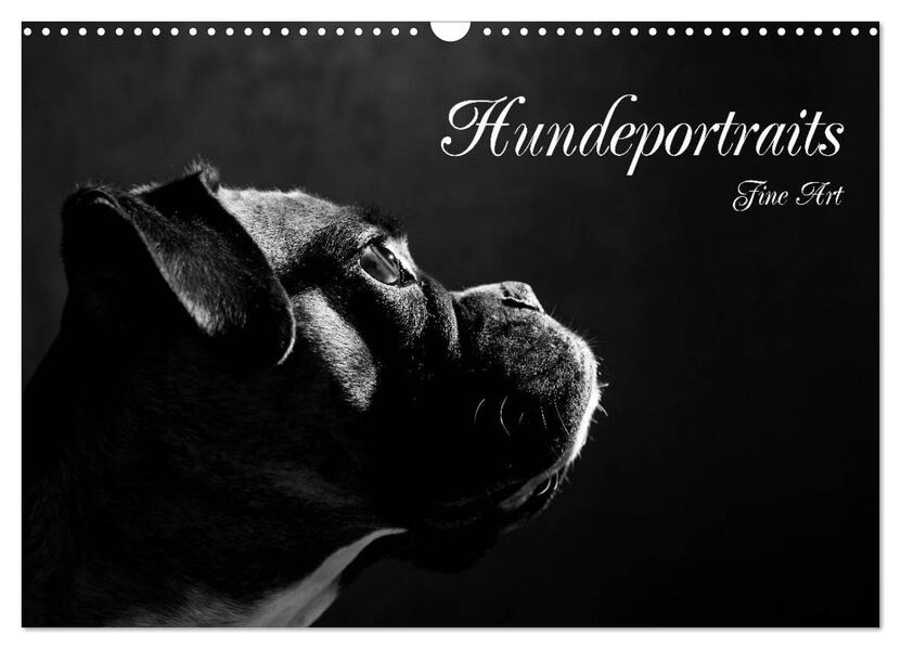 Hundeportraits Fine Art (Wandkalender 2026 DIN A3 quer) CALVENDO Monatskalender