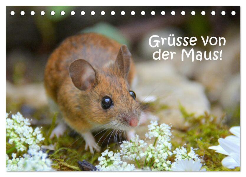 Grüsse von der Maus! (Tischkalender 2026 DIN A5 quer) CALVENDO Monatskalender