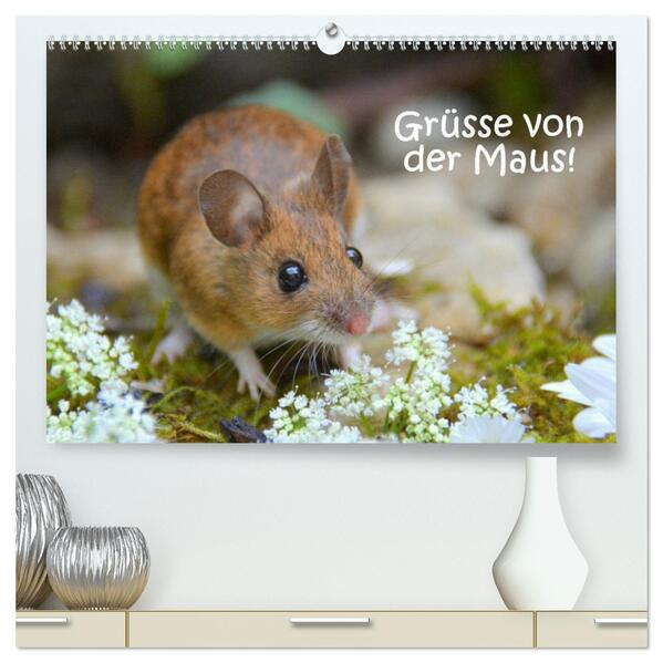 Grüsse von der Maus! (hochwertiger Premium Wandkalender 2026 DIN A2 quer) Kunstdruck in Hochglanz