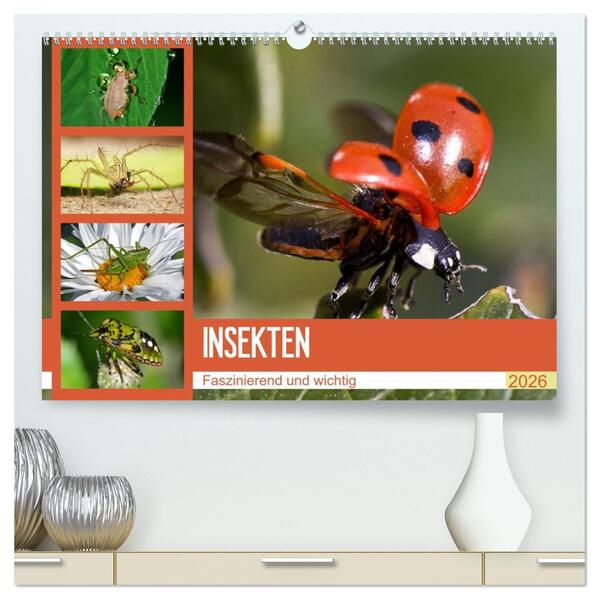 Insekten. Faszinierend und wichtig (hochwertiger Premium Wandkalender 2026 DIN A2 quer) Kunstdruck in Hochglanz
