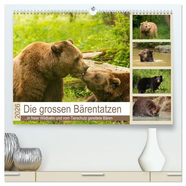 Die grossen Bärentatzen (hochwertiger Premium Wandkalender 2026 DIN A2 quer) Kunstdruck in Hochglanz
