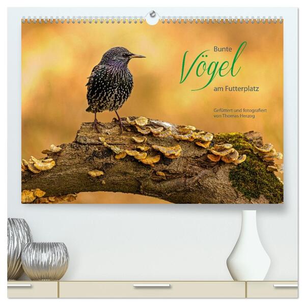 Bunte Vögel am Futterplatz (hochwertiger Premium Wandkalender 2026 DIN A2 quer) Kunstdruck in Hochglanz