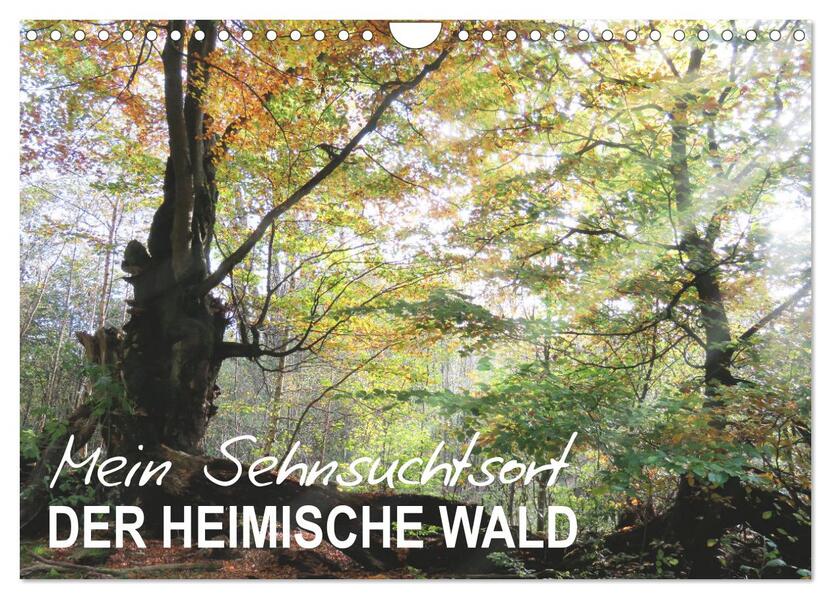 Mein Sehnsuchtsort der heimische Wald (Wandkalender 2026 DIN A4 quer) CALVENDO Monatskalender