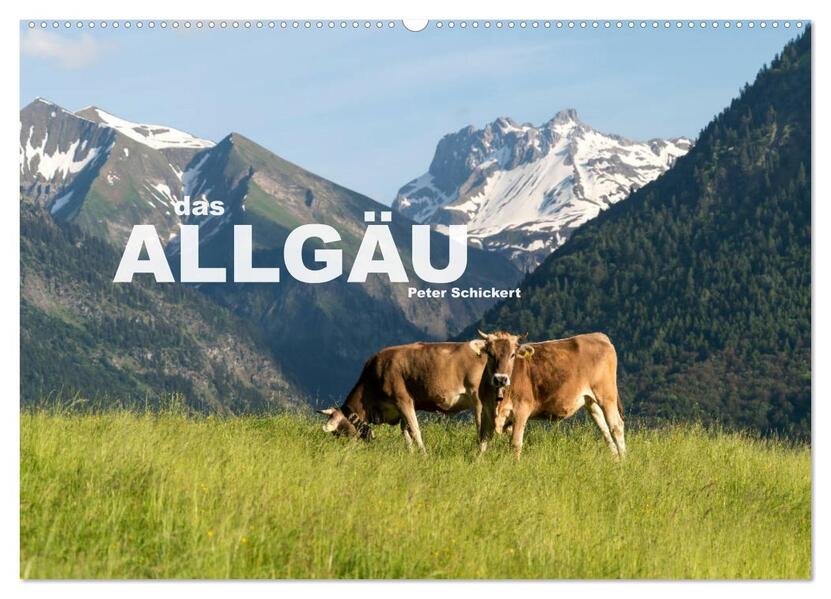das Allgäu (Wandkalender 2026 DIN A2 quer) CALVENDO Monatskalender
