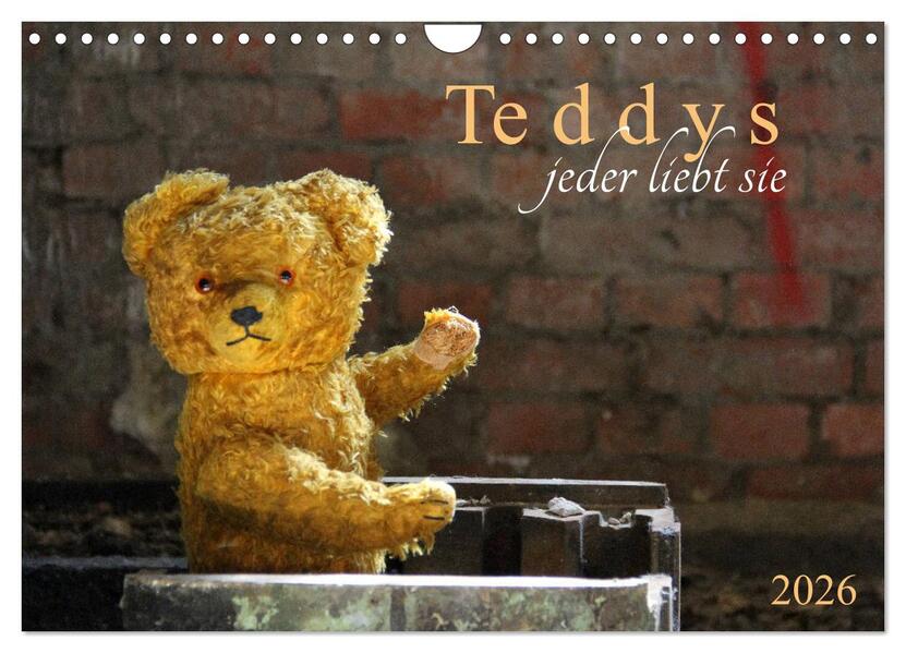 Teddys...jeder liebt sie (Wandkalender 2026 DIN A4 quer) CALVENDO Monatskalender