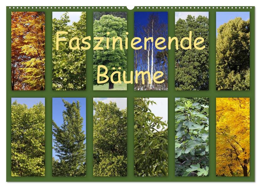 Faszinierende Bäume (Wandkalender 2026 DIN A2 quer) CALVENDO Monatskalender