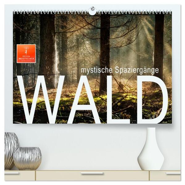 Wald - mystische Spaziergänge (hochwertiger Premium Wandkalender 2026 DIN A2 quer) Kunstdruck in Hochglanz