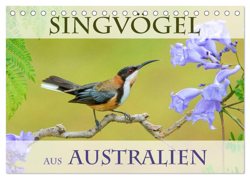 Singvögel aus Australien (Tischkalender 2026 DIN A5 quer) CALVENDO Monatskalender
