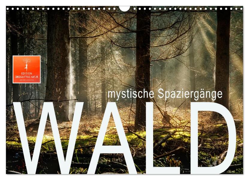 Wald - mystische Spaziergänge (Wandkalender 2026 DIN A3 quer) CALVENDO Monatskalender
