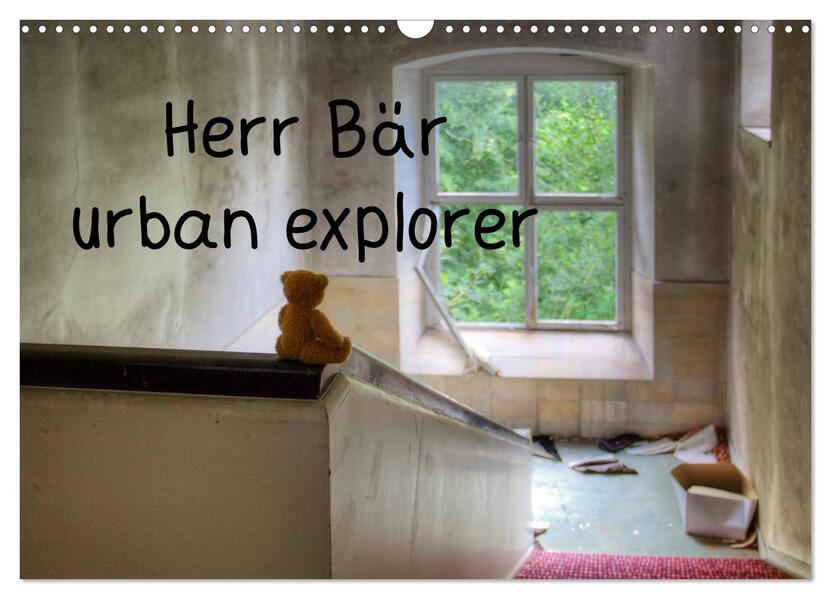 Herr Bär urban explorer (Wandkalender 2026 DIN A3 quer) CALVENDO Monatskalender