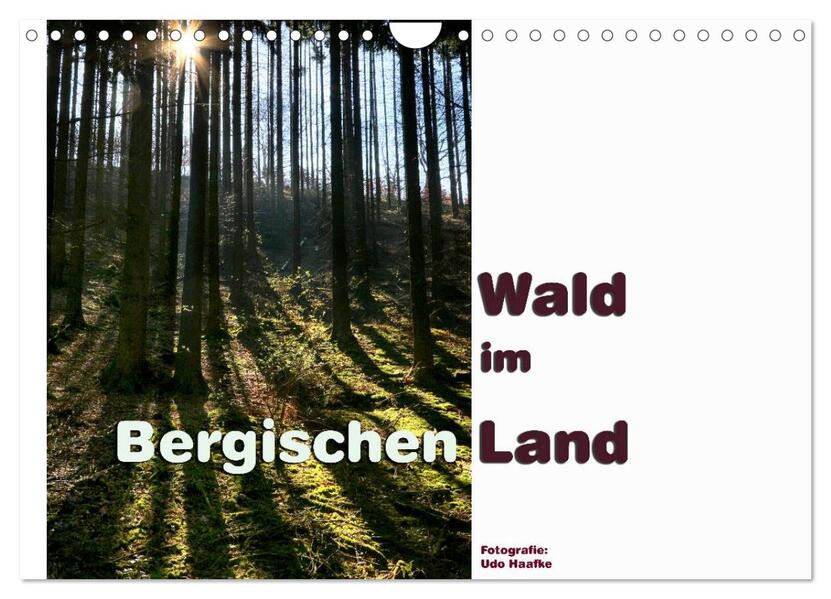 Wald im Bergischen Land 2026 (Wandkalender 2026 DIN A4 quer) CALVENDO Monatskalender