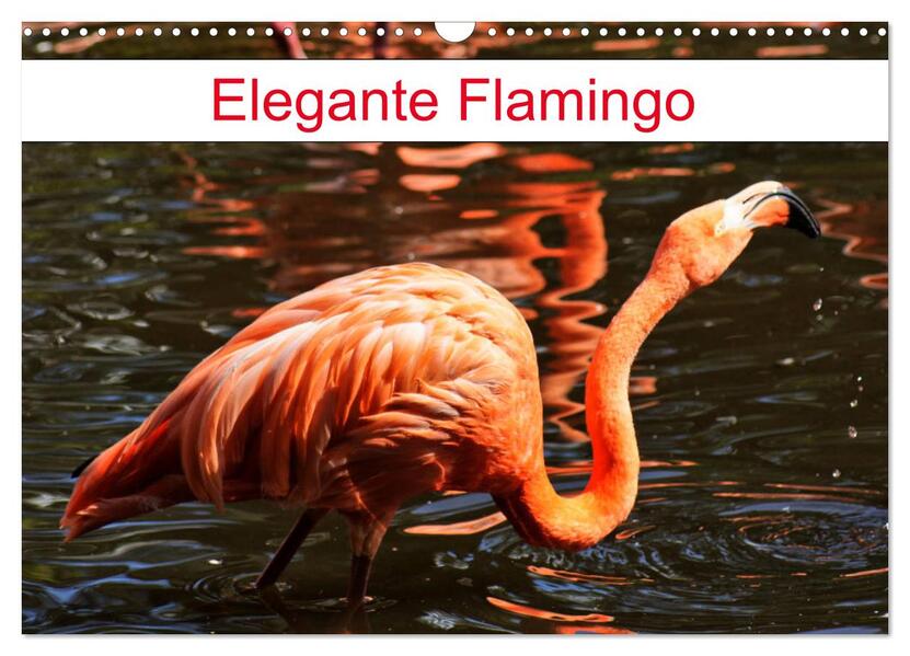 Elegante Flamingo (Wandkalender 2026 DIN A3 quer) CALVENDO Monatskalender