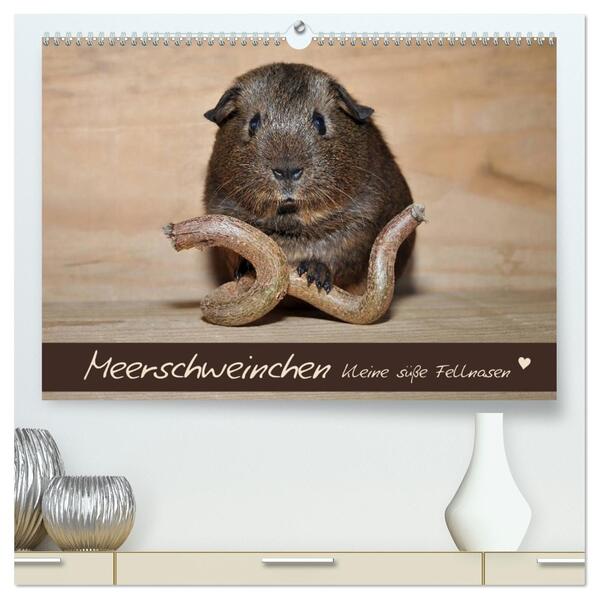 Meerschweinchen - Kleine süße Fellnasen (hochwertiger Premium Wandkalender 2026 DIN A2 quer) Kunstdruck in Hochglanz