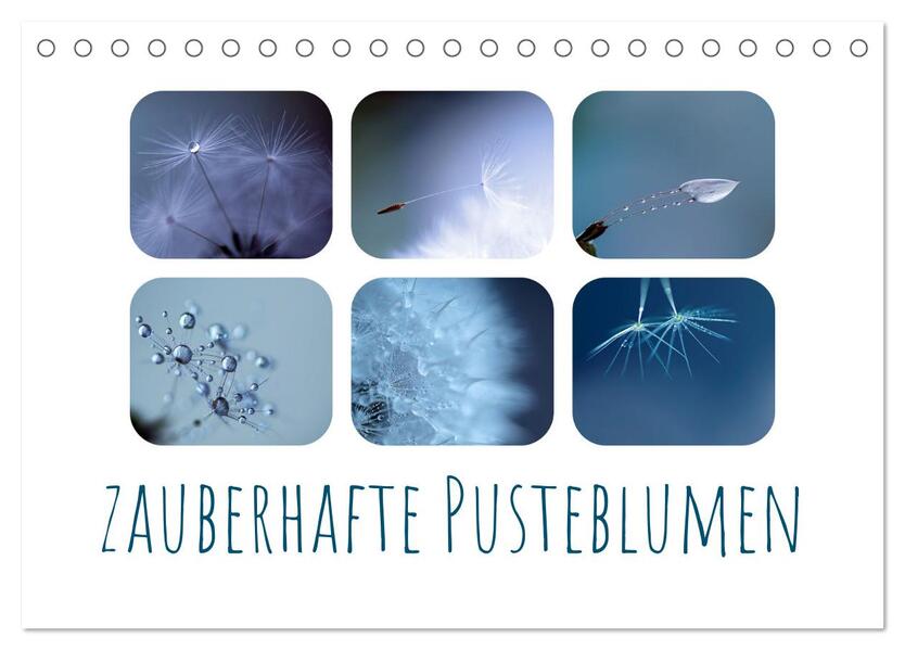 Zauberhafte Pusteblumen (Tischkalender 2026 DIN A5 quer) CALVENDO Monatskalender