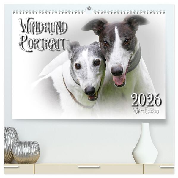 Windhund Portrait 2026 White Edition (hochwertiger Premium Wandkalender 2026 DIN A2 quer) Kunstdruck in Hochglanz