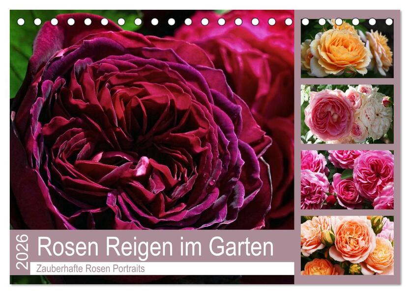 Rosen Reigen im Garten (Tischkalender 2026 DIN A5 quer) CALVENDO Monatskalender