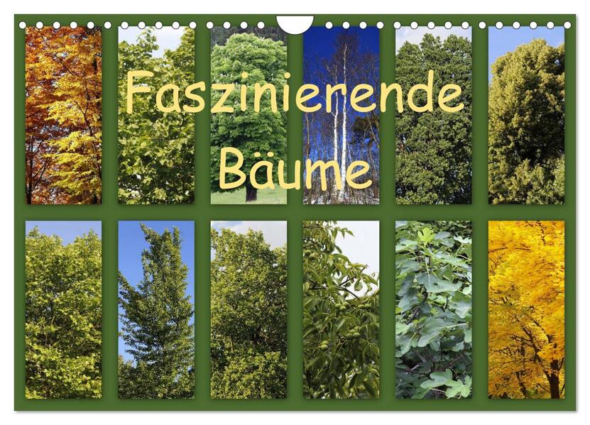 Faszinierende Bäume (Wandkalender 2026 DIN A4 quer) CALVENDO Monatskalender