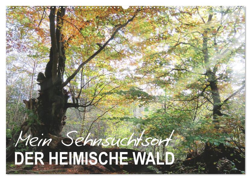 Mein Sehnsuchtsort der heimische Wald (Wandkalender 2026 DIN A2 quer) CALVENDO Monatskalender