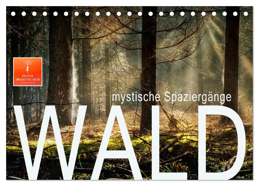 Wald - mystische Spaziergänge (Tischkalender 2026 DIN A5 quer) CALVENDO Monatskalender