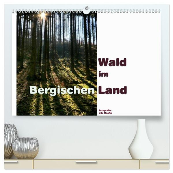 Wald im Bergischen Land 2026 (hochwertiger Premium Wandkalender 2026 DIN A2 quer) Kunstdruck in Hochglanz