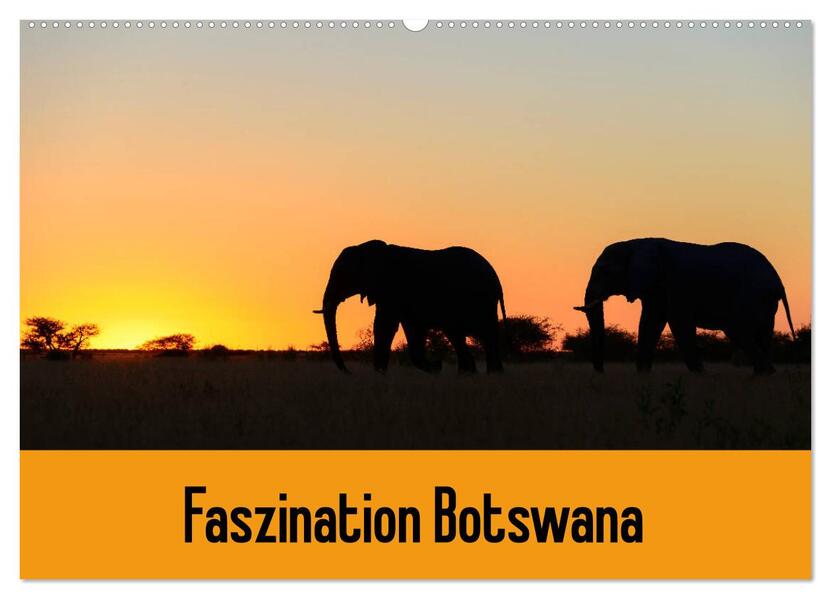 Faszination Botswana (Wandkalender 2026 DIN A2 quer) CALVENDO Monatskalender