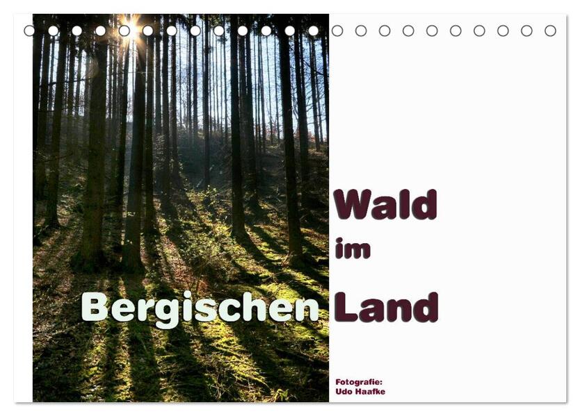Wald im Bergischen Land 2026 (Tischkalender 2026 DIN A5 quer) CALVENDO Monatskalender