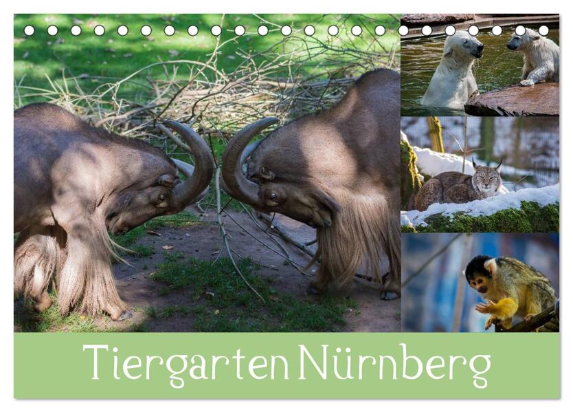 Tiergarten Nürnberg (Tischkalender 2026 DIN A5 quer) CALVENDO Monatskalender